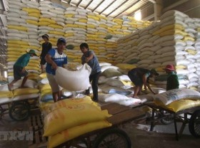 Image: Vietnam to export 1,600 tonnes of rice at high price to Singapore, Malaysia
