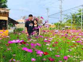 Image: 3 months of turning wasteland into a flower garden of 4,000 m2