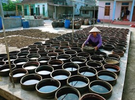 Image: Fish-sauce making village receives national cultural heritage status