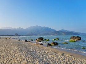 Image: Green moss season at Nam O Da Nang Reef attracts visitors to check-in at the beginning of the year