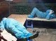 Image: Covid-19 patient No.1696 re-exposes to SARS-CoV-2