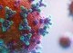 Image: Dead Japanese expert infected with new 20C-coronavirus variant