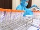 Image: No new COVID-19 infections recorded on early February 22