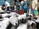 Image: Vietnam's tuna exports to US increase