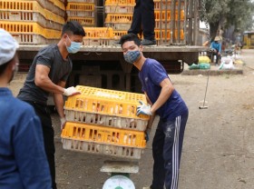 Image: Near Tet, the person who sells poultry in the largest market in the North is in season