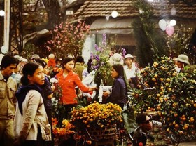 Image: New book on Tết released