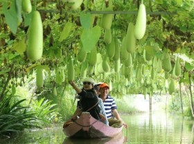 Image: Đồng Tháp adds 14 new community-based tourism areas