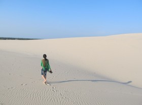 Image: Quang Tri tourism admires the beautiful Nhi Ha golden sandhill