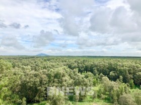 Image: Forest environmental services to bring about 2.8 trillion VND in 2021