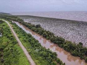 Image: Measures needed to make Mekong Delta adaptive to climate change