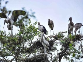 Image: Ministry proposes establishment of Ramsar site network