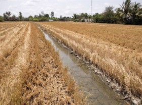 Image: Water shortages, climate change linked to saline intrusion in Mekong Delta