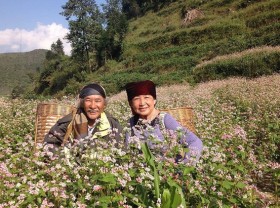 Image: The couple “adventurer” U70 “stunned” when crossing Vietnam by motorbike