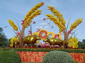 Image: The largest square, Mekong Delta, brilliantly beautiful small scene to welcome the New Year of the buffalo