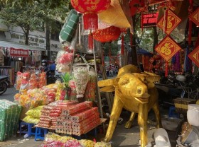 Image: Flower market in the old town shows buffalo for Tet