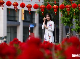Image: Flower festival in Saigon's Phu My Hung scaled down for COVID-19 prevention