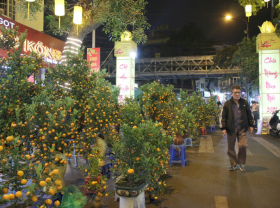 Image: Tet flower markets in Hanoi Old Quarter deserted due to Covid 19 in photos