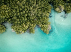 Image: Revealing useful diving experience to watch the coral reefs of Con Dao