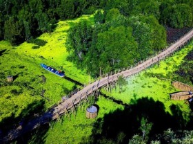 Image: Spring visitors Tra Su Melaleuca forest, check-in the longest bamboo bridge in Vietnam