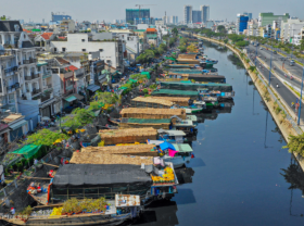 Image: 8 recommendations in Saigon for tourists in upcoming Tet