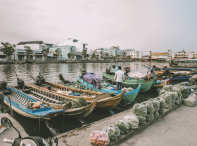 Image: Ca Mau s rustic beauty through young photographer s lenses