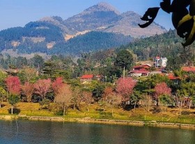 Image: Bac Ha white plateau brilliant with spring flowers