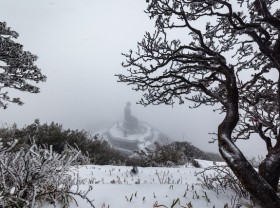Image: Visitors flock to Fansipan to admire the dense snowfall like Europe