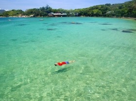 Image: Whale Island in central Việt Nam among best destinations for diving: Forbes