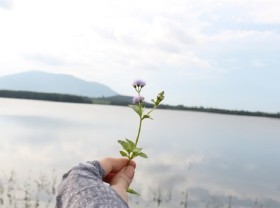 Image: A weekend tour of Nui Le Lake with friends
