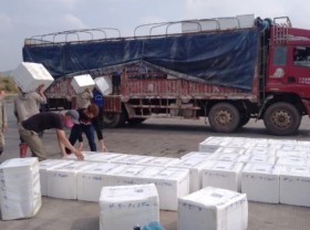 Image: Agricultural exports through Mong Cai border gate soar sharply