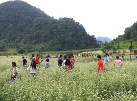 Image: Experience Dong Van Ha Giang rock plateau tourism like a local