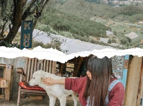 Image: Kong Cafe Dalat – a tourist destination for art-loving souls