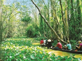 Image: Lost in Xẻo Quýt national historic site in Đồng Tháp