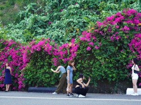 Image: Picturesque confetti street in Da Nang