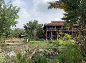 Image: Rowing, immersed in the green space between HCMC