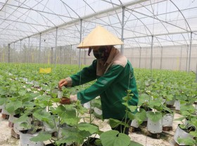 Image: Science to be used to ensure food security, nutritional balance