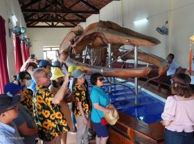 Image: The largest whale skeleton in Vietnam