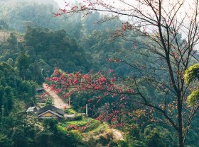 Image: This is the most beautiful Lang Son tourism time not everyone knows!