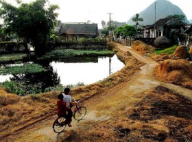 Image: 10 Bac Ninh specialties bought as gifts boldly in the countryside of Kinh Bac