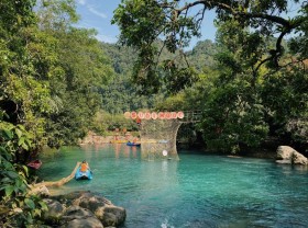 Image: The golden season he blooms in Phong Nha