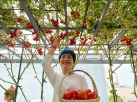 Image: The rooftop agricultural garden bears fruits of ‘ten thousand people who love it’ by taking advantage of the waste to make compost