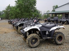 Image: Tourists “riding the beast” crossed the slope and crossed the forest in the suburbs of Ha Noi