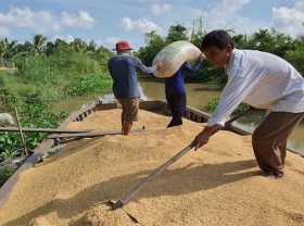 Image: Vietnam sells 50,000 tons of rice to Bangladesh