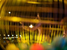 Image: A good photo story needs deep personal views
