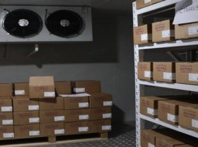 Image: A peek into cold storage preserving thousands of Covid 19 vaccines in Vietnam