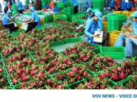 Image: Conference seeks ways for local goods to enter Chinese market