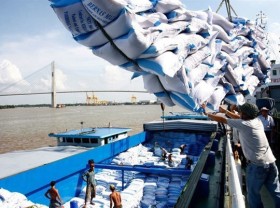Image: Firms to get help to expand rice export markets