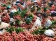 Image: Vietnamese Thieu lychee granted certificate of geographical indication in Japan