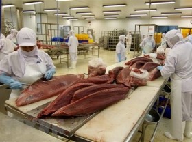 Image: Canned seafood exports surge 42% in Jan-Feb