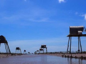 Image: Dong Chau Thai Binh Beach – An enchantment from nature